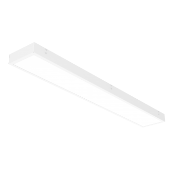 product's name