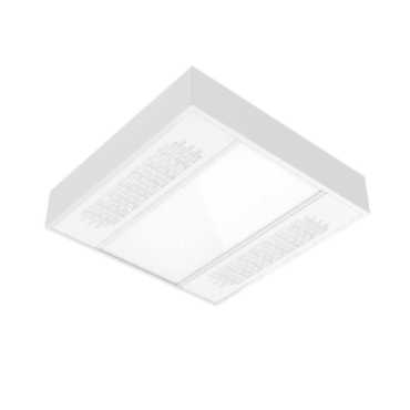 product's name