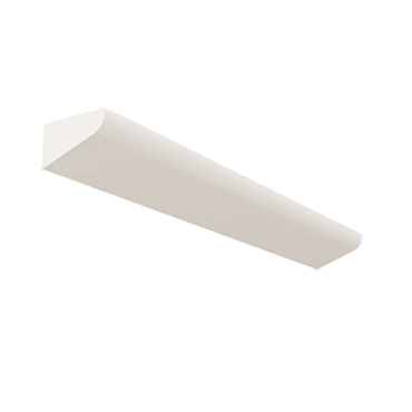 product's name