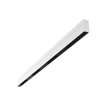 product's name