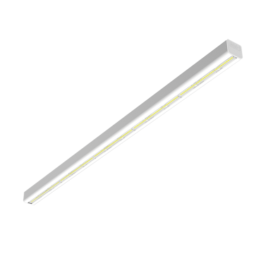 product's name