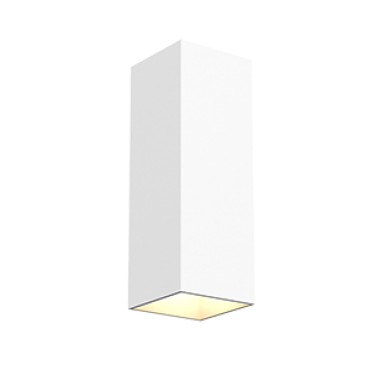 product's name