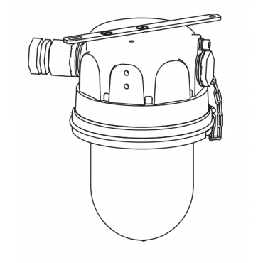 product's name