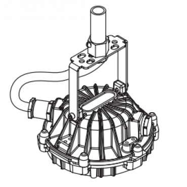 product's name