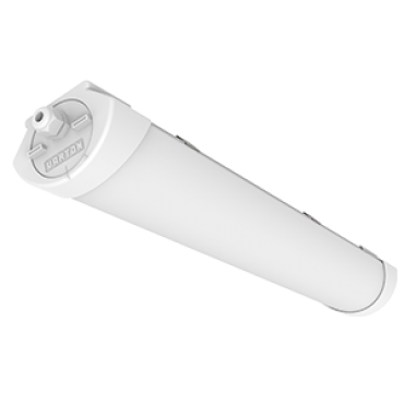 product's name