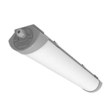 product's name