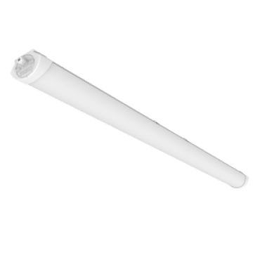 product's name