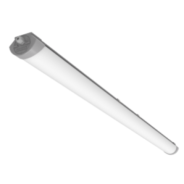product's name