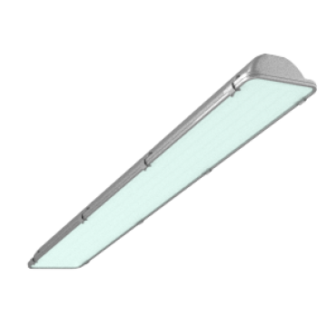 product's name