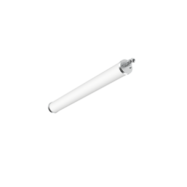 product's name