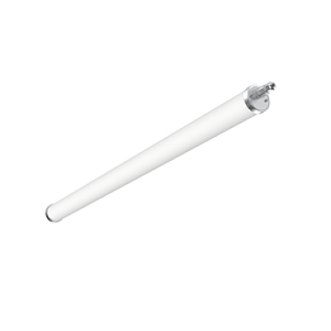 product's name