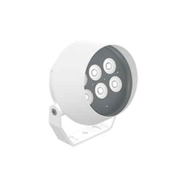 product's name